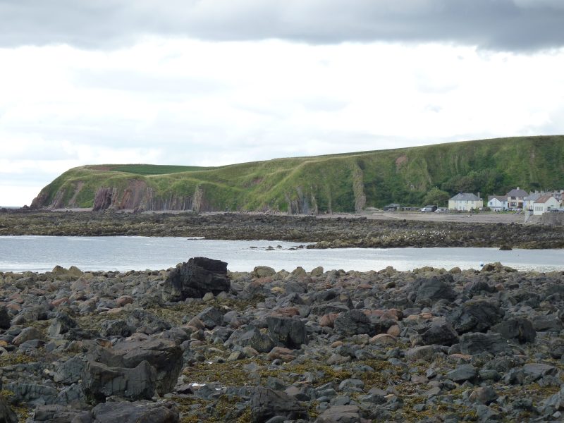 The cliffs at Burnmouth, where many fossils have been found. Note the vertical rock strata. These would have been horizontal when laid down, so the whole section, 450 metres wide, has been rotated through a full 90°.