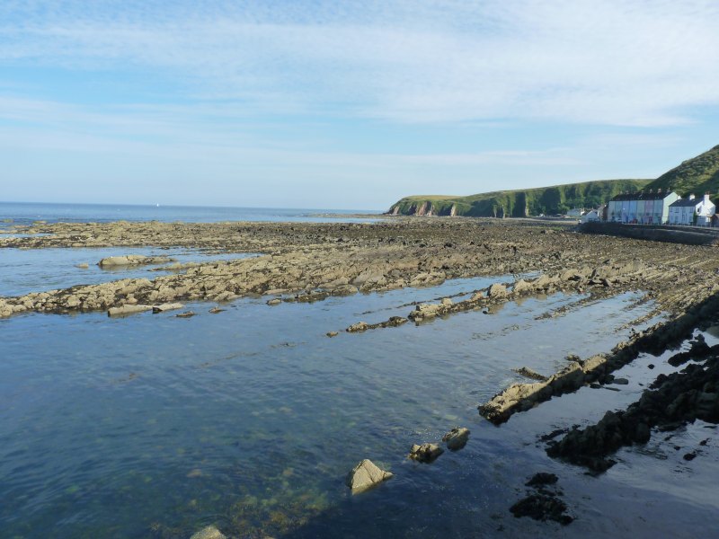 Rocky platform at Burnmouth, exposed at low tide.