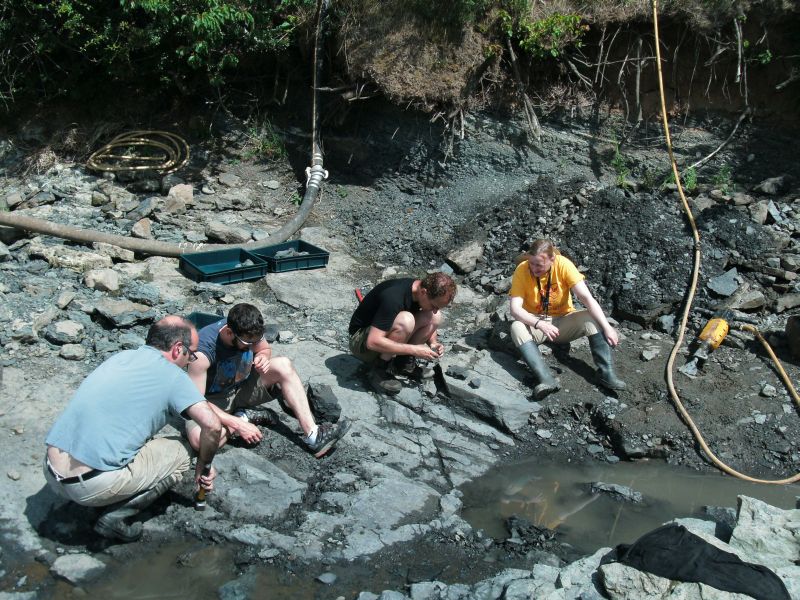 Staff from the NMS collecting fossils.  Interesting-looking rocks go into the green crates to be checked out later.