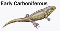 Early Carboniferous tetrapod