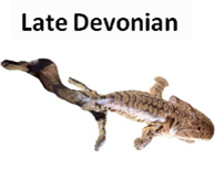 Late Devonian tetrapod
